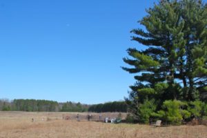 View of the work area from the brush pile 