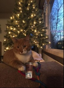 MRPIFFLESGEOCACHINGCAT